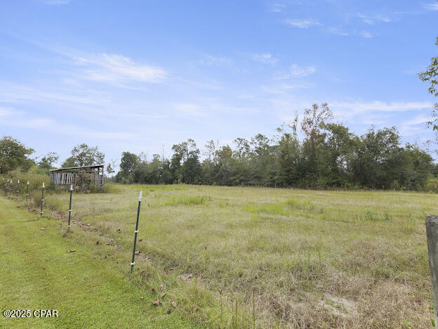 1559 Vickery Road Cottondale, FL 32431 - Photo 10 of 25 Gallery Image 10