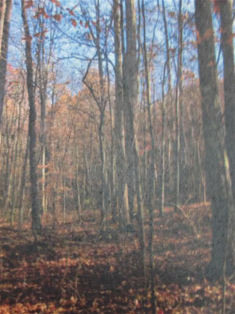 1 Upper Rador Road Manchester, KY 40962 - Photo 3 of 6 Photo 3