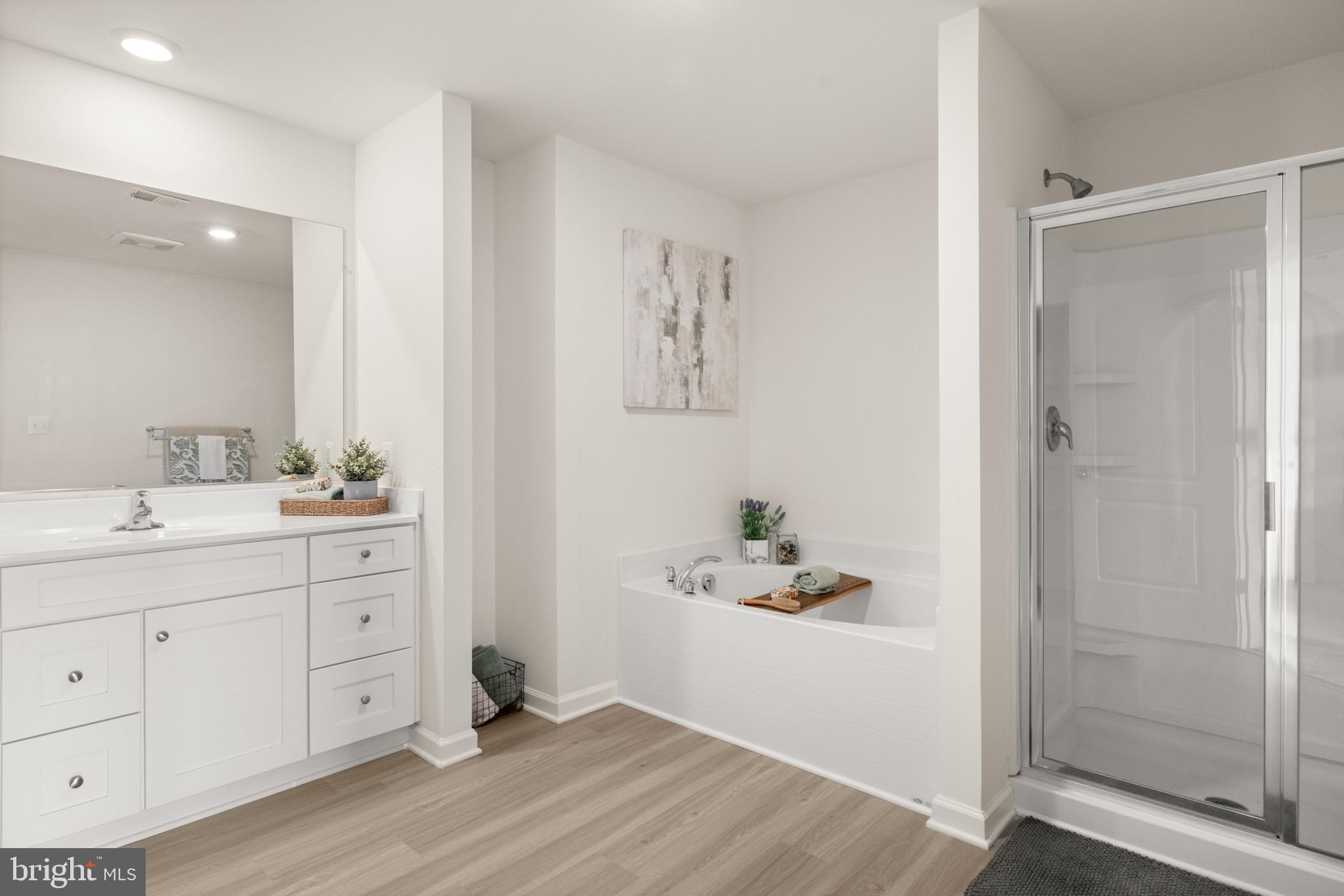 259 Headwaters Drive Falling Waters, WV 25419 - Photo 20 of 34 a bathroom with a tub sink a mirror and vanity