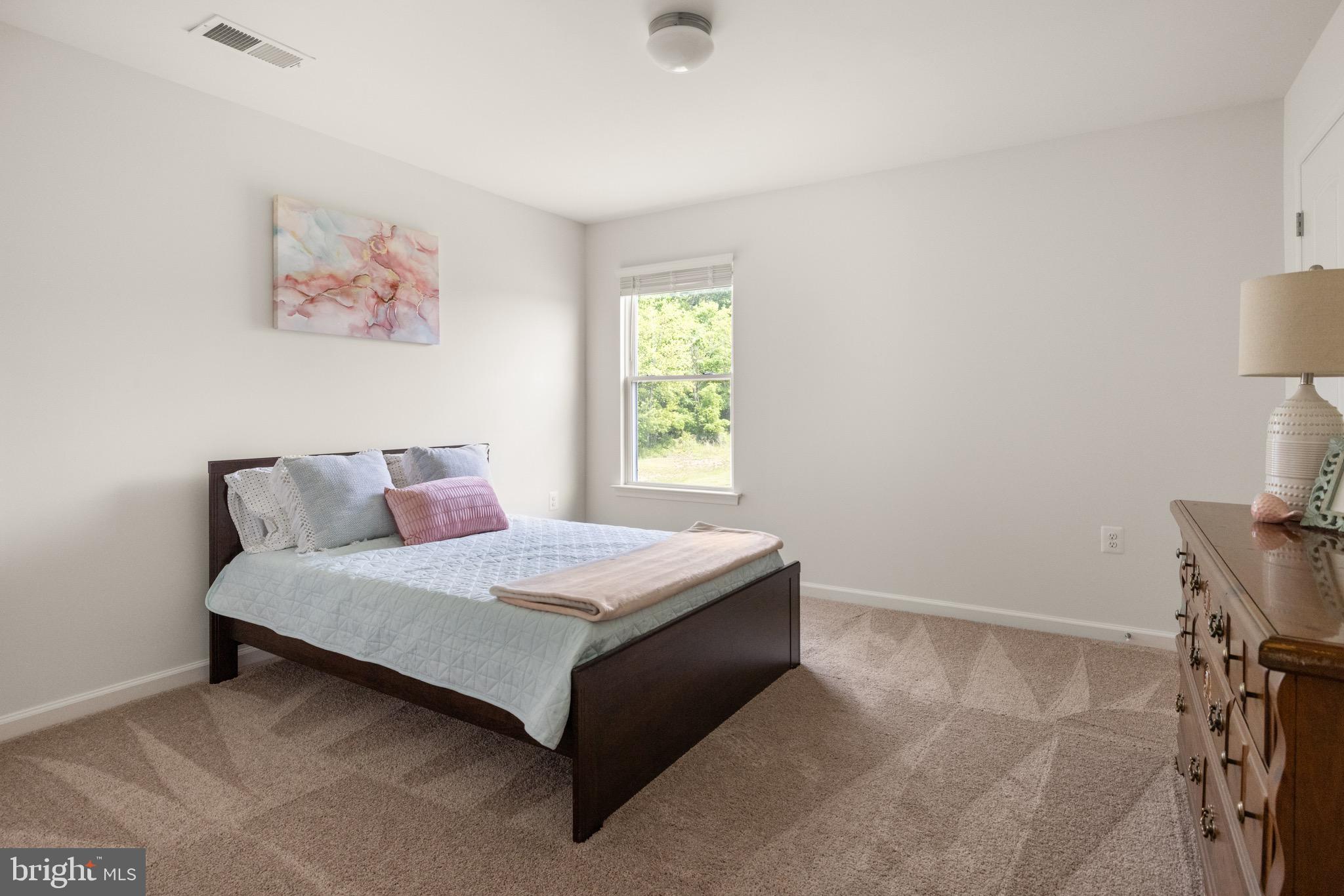 259 Headwaters Drive Falling Waters, WV 25419 - Photo 21 of 34 a bedroom with a bed and a window