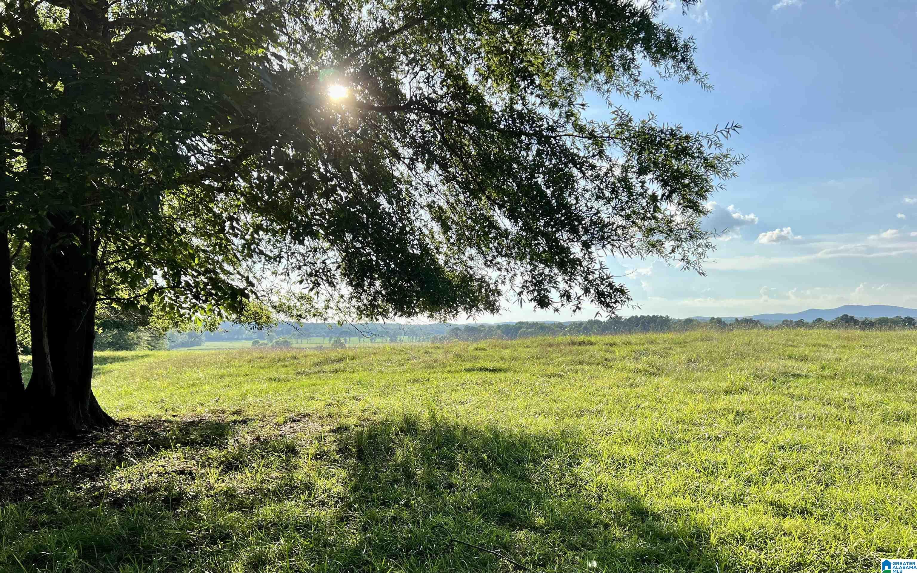1515 Kelly Ranch Road, Unit 138 ACRES / Talladega, AL 35160 - Photo 42 of 42