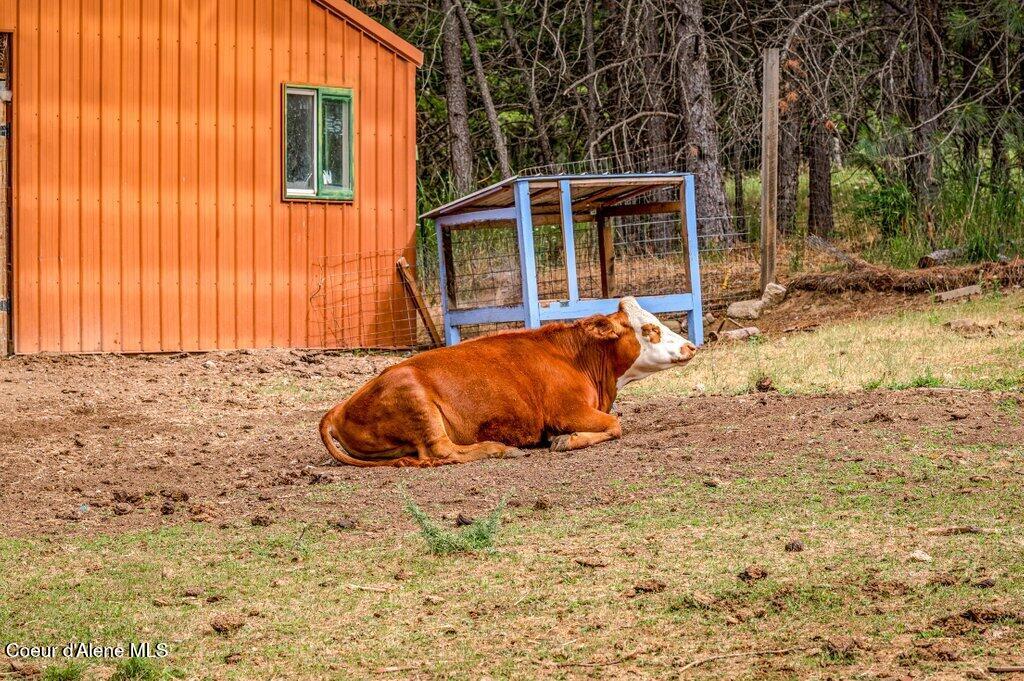 3018 South Signal Point Road Post Falls, ID 83854 - Photo 65 of 117 Steer