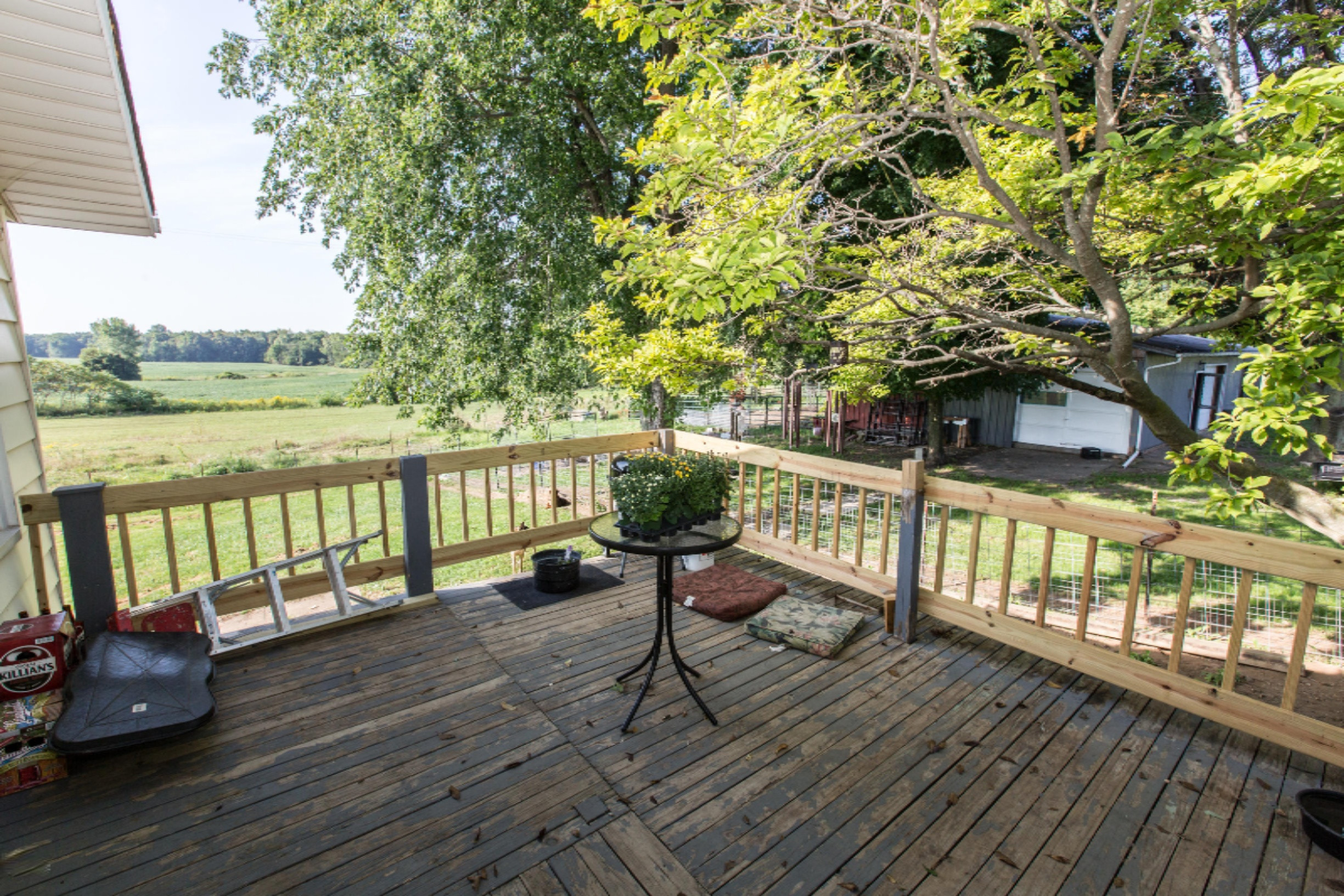 5471 West Reading Road Reading, MI 49274 - Photo 8 of 27 5471 W Reading Road Hemontolor for MLS
