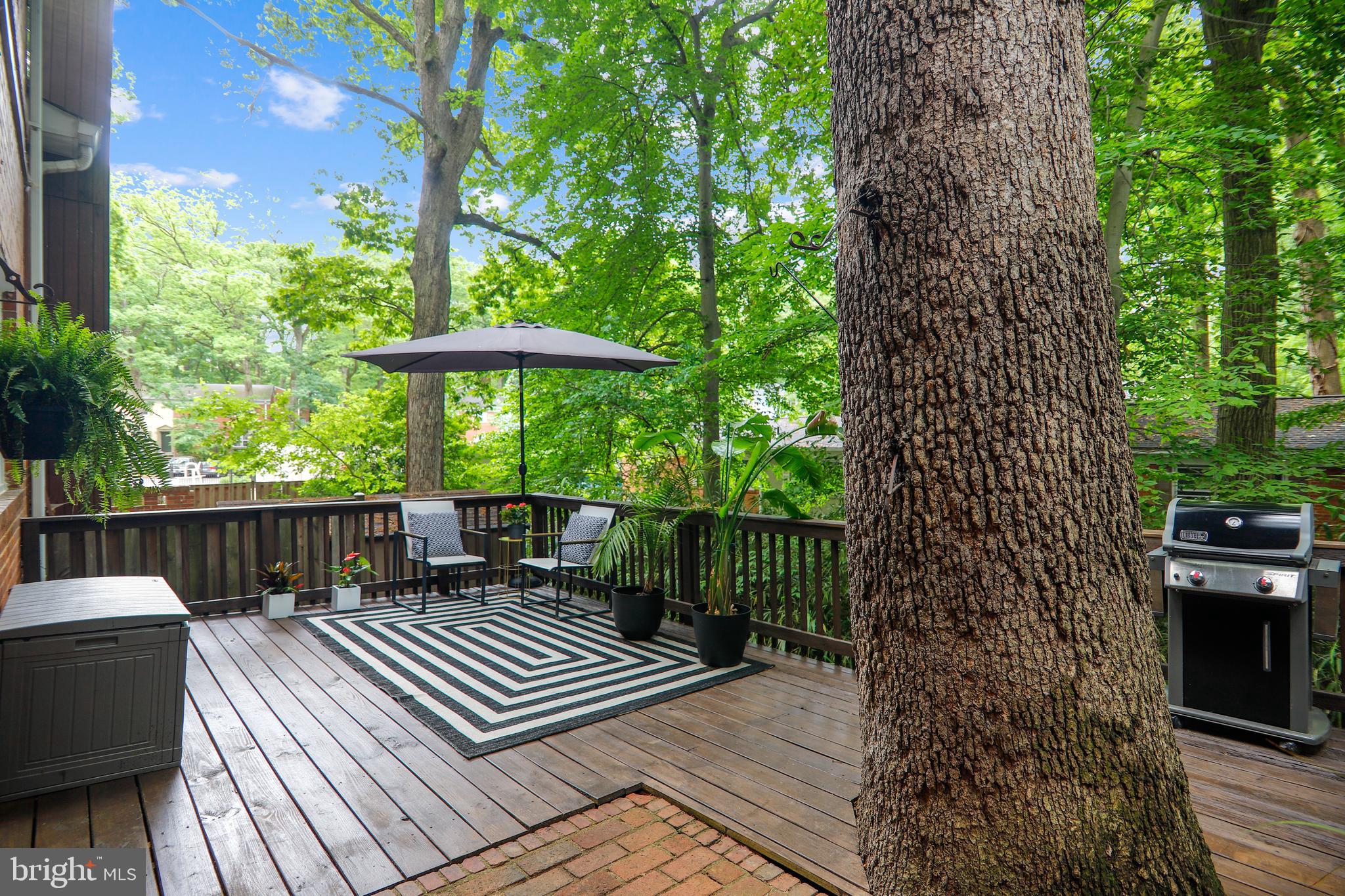 8614 Bradford Road, Unit 23 Silver Spring, MD 20901 - Photo 14 of 22 Gallery Image 14