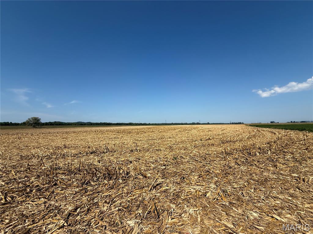 0 Levee Road Valmeyer, IL 62295 - Photo 18 of 23 Gallery Image 18