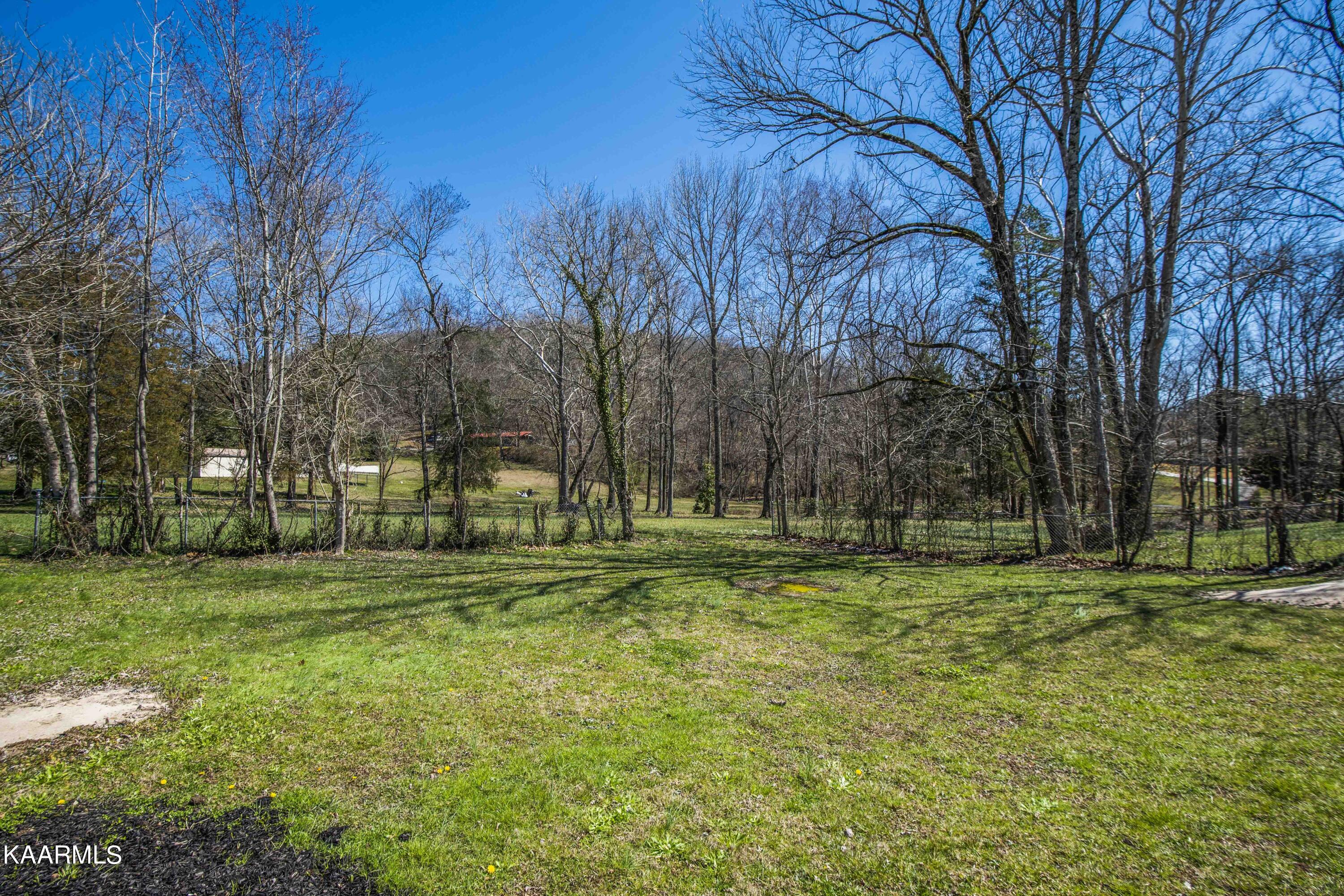 1011 Ruritan Road Harriman, TN 37748 - Photo 12 of 13 yard 3_1