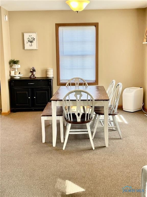 308 Rudolph Road North Baltimore, OH 45872 - Photo 8 of 25 Gallery Image 8