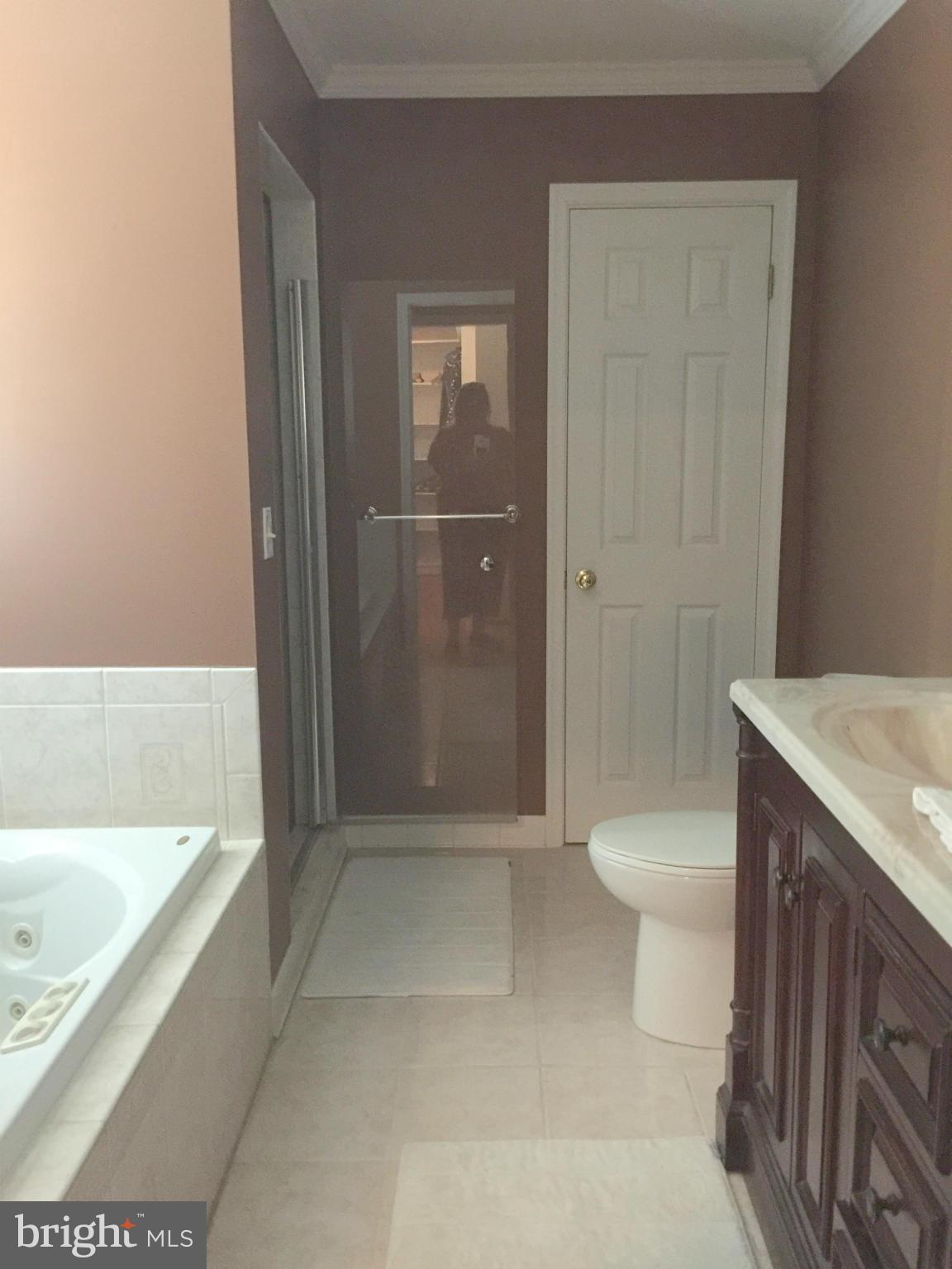 107 Martin Road Chester, MD 21619 - Photo 12 of 16 Bath (Master)