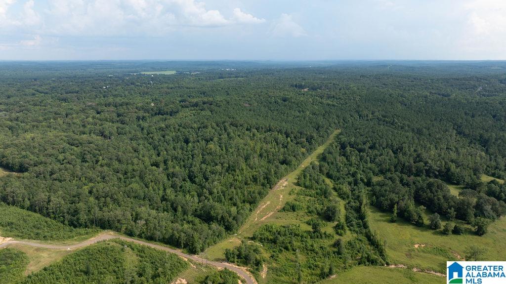 0 Wilkinson Road Fayette, AL 35555 - Photo 4 of 11