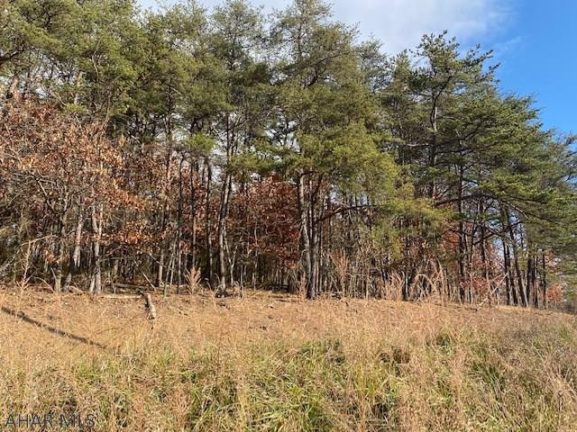 139 George Road Clearville, PA 15535 - Photo 13 of 22
