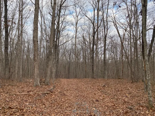 $75,000 | Lot 11 Green Forest, Dunlap, TN 37327