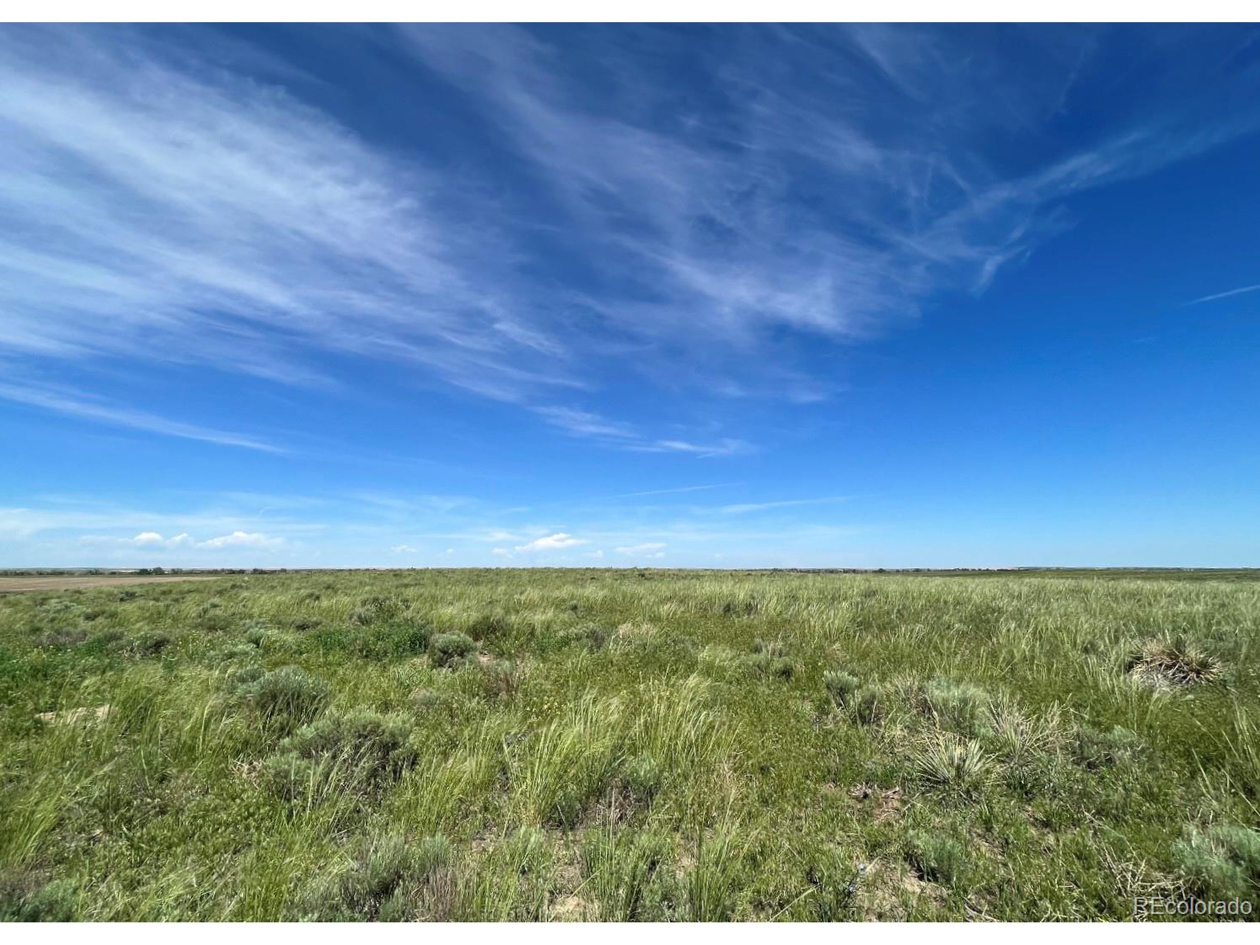 a view of a field with an ocean