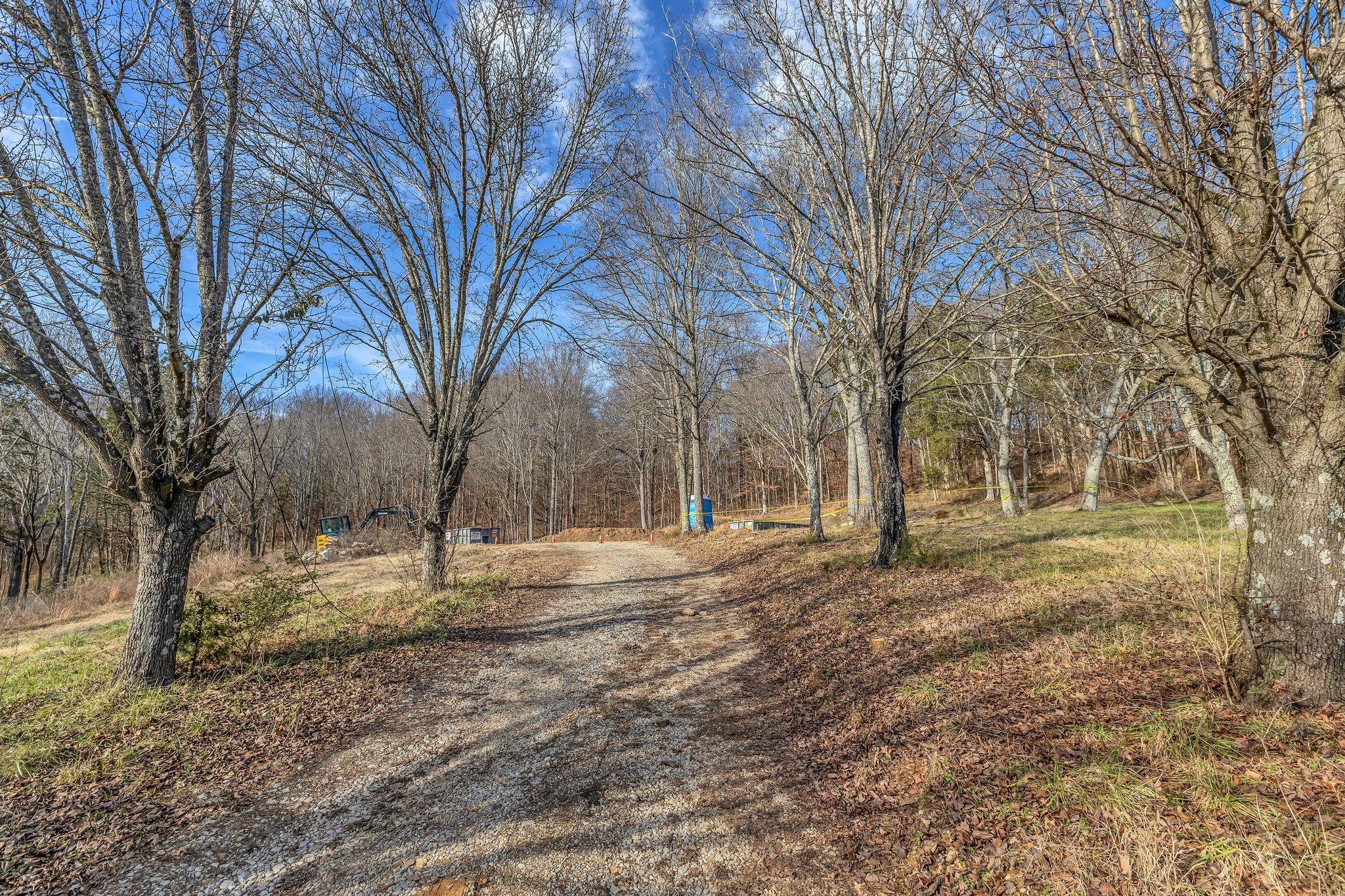 3125 Blazer Road Franklin, TN 37064 - Photo 12 of 32 a backyard of a house with large trees