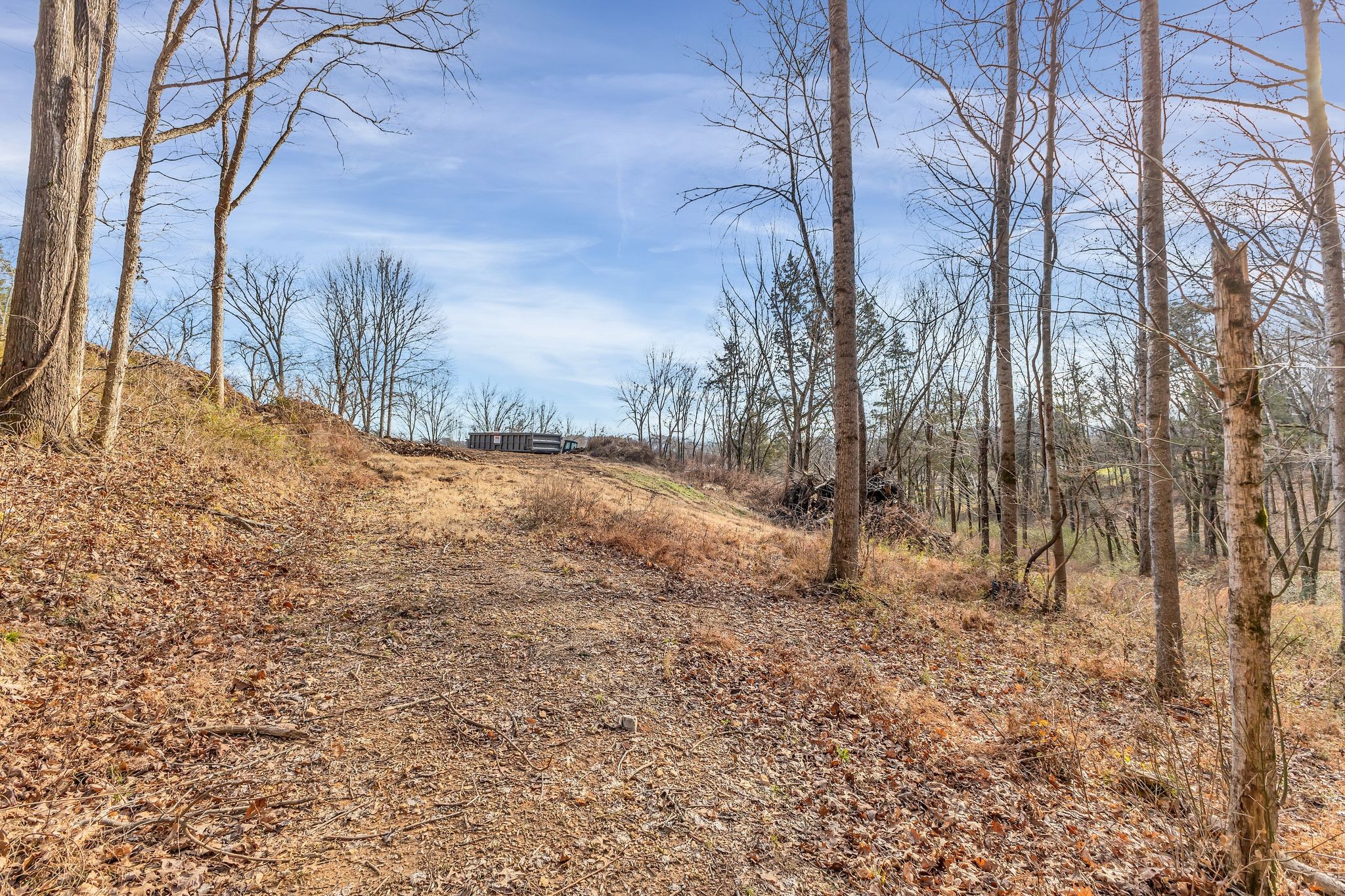 3125 Blazer Road Franklin, TN 37064 - Photo 16 of 32 a view of a yard with trees
