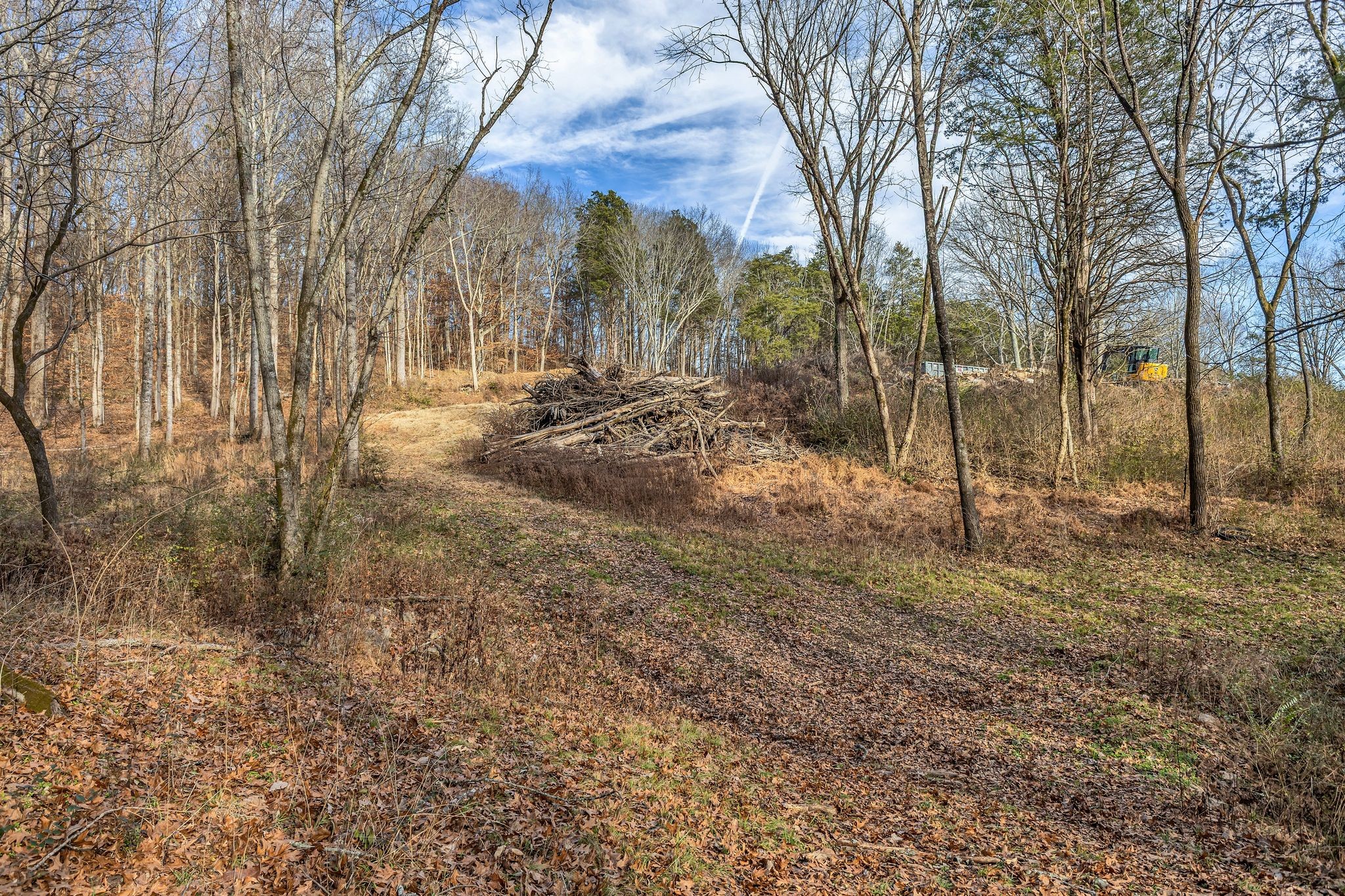 3125 Blazer Road Franklin, TN 37064 - Photo 18 of 32 a view of a yard with a tree