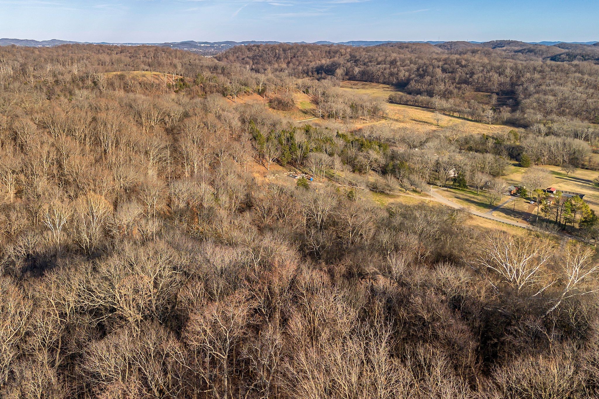 3125 Blazer Road Franklin, TN 37064 - Photo 31 of 32 a view of a dry yard