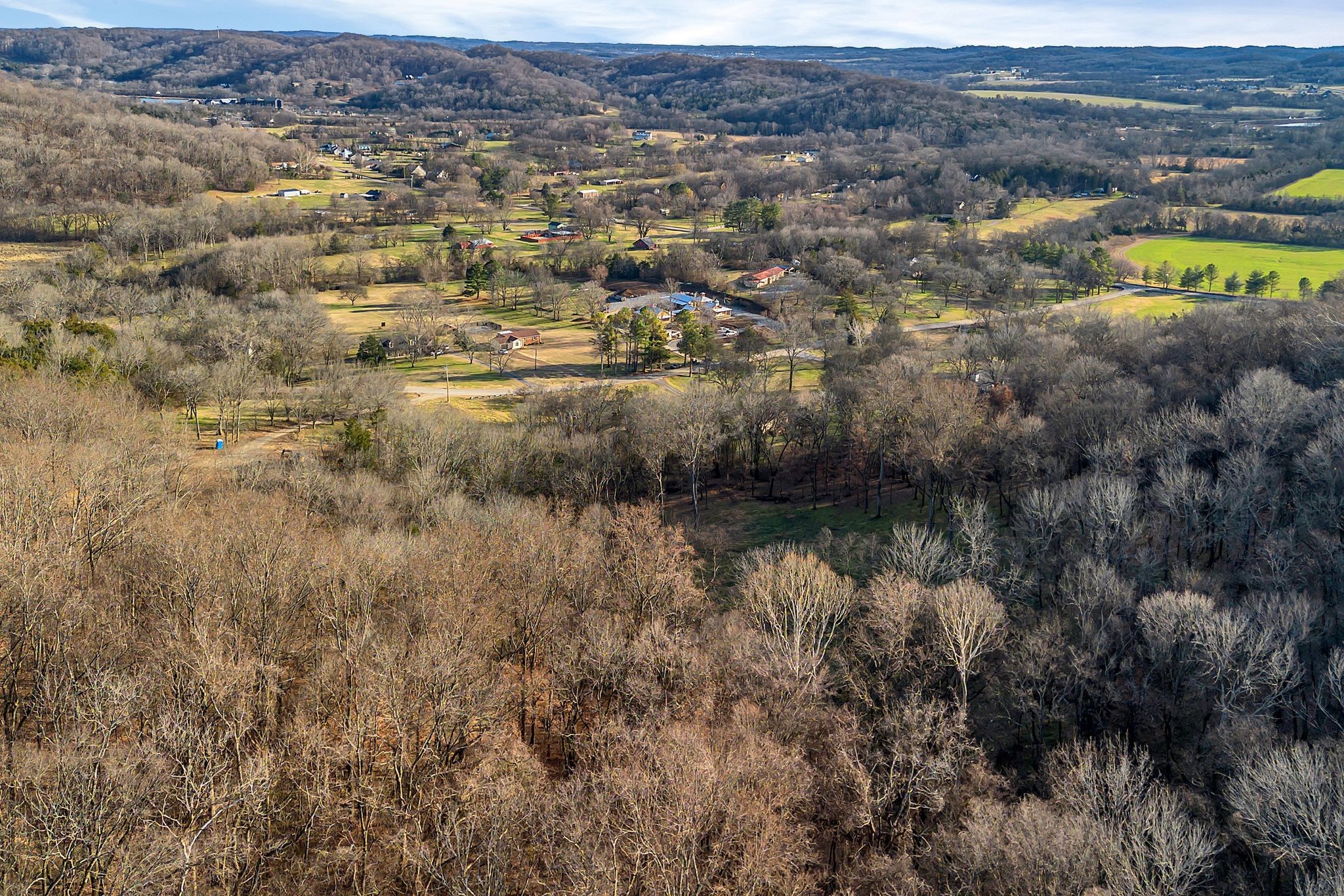 3125 Blazer Road Franklin, TN 37064 - Photo 32 of 32 an aerial view of residential houses with outdoor space and trees