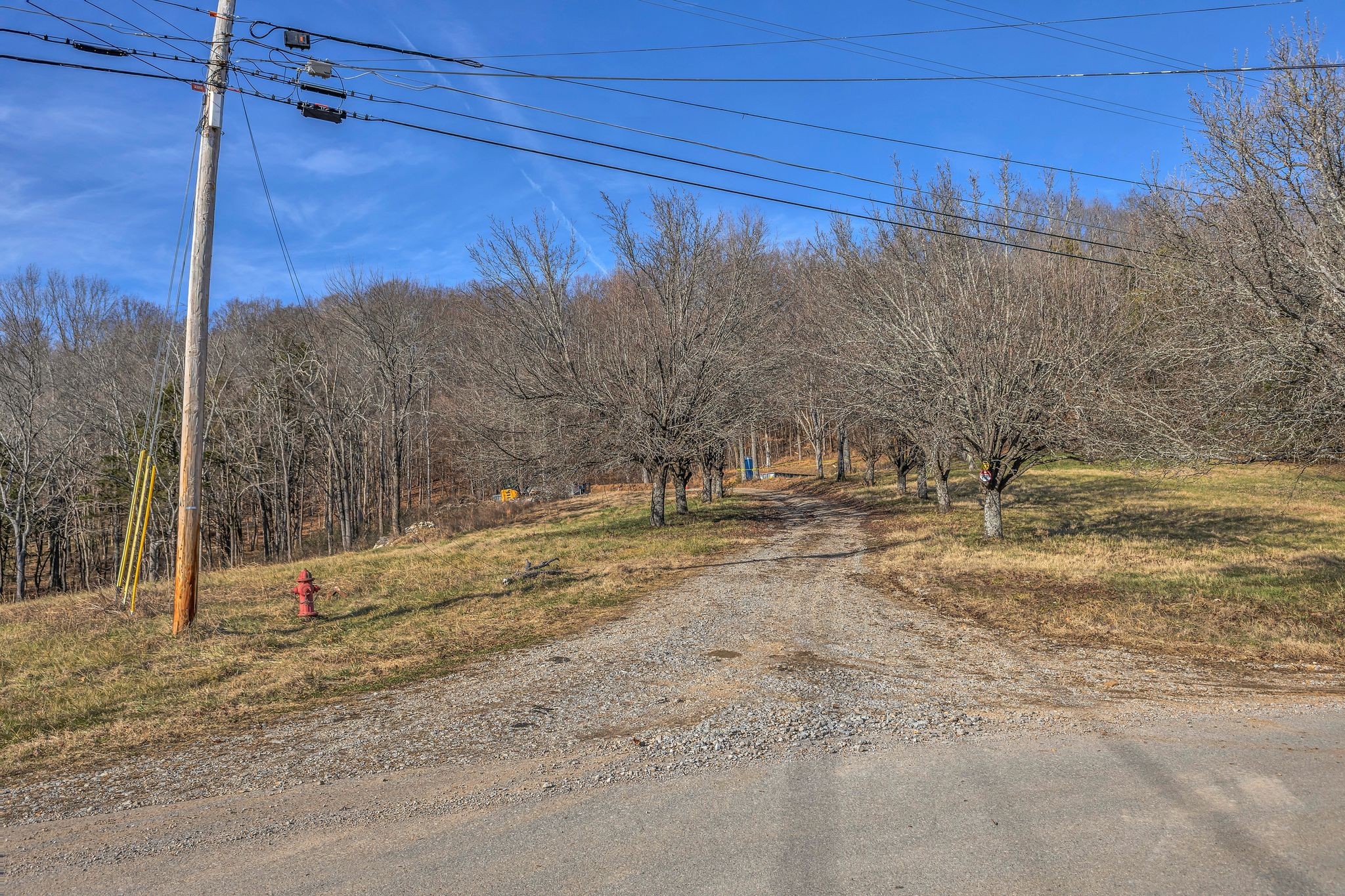 3125 Blazer Road Franklin, TN 37064 - Photo 4 of 32 a view of a yard with trees