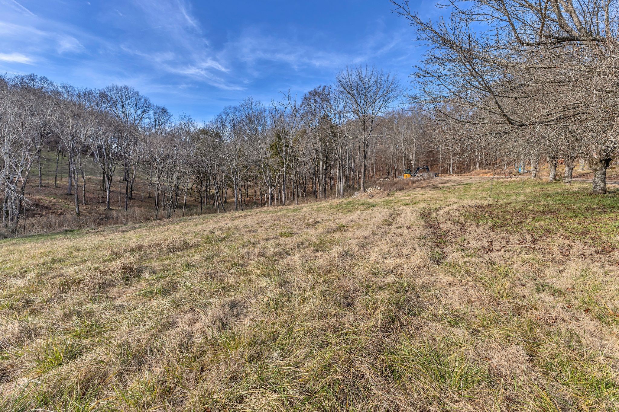3125 Blazer Road Franklin, TN 37064 - Photo 5 of 32 a view of yard covered with snow in front of house