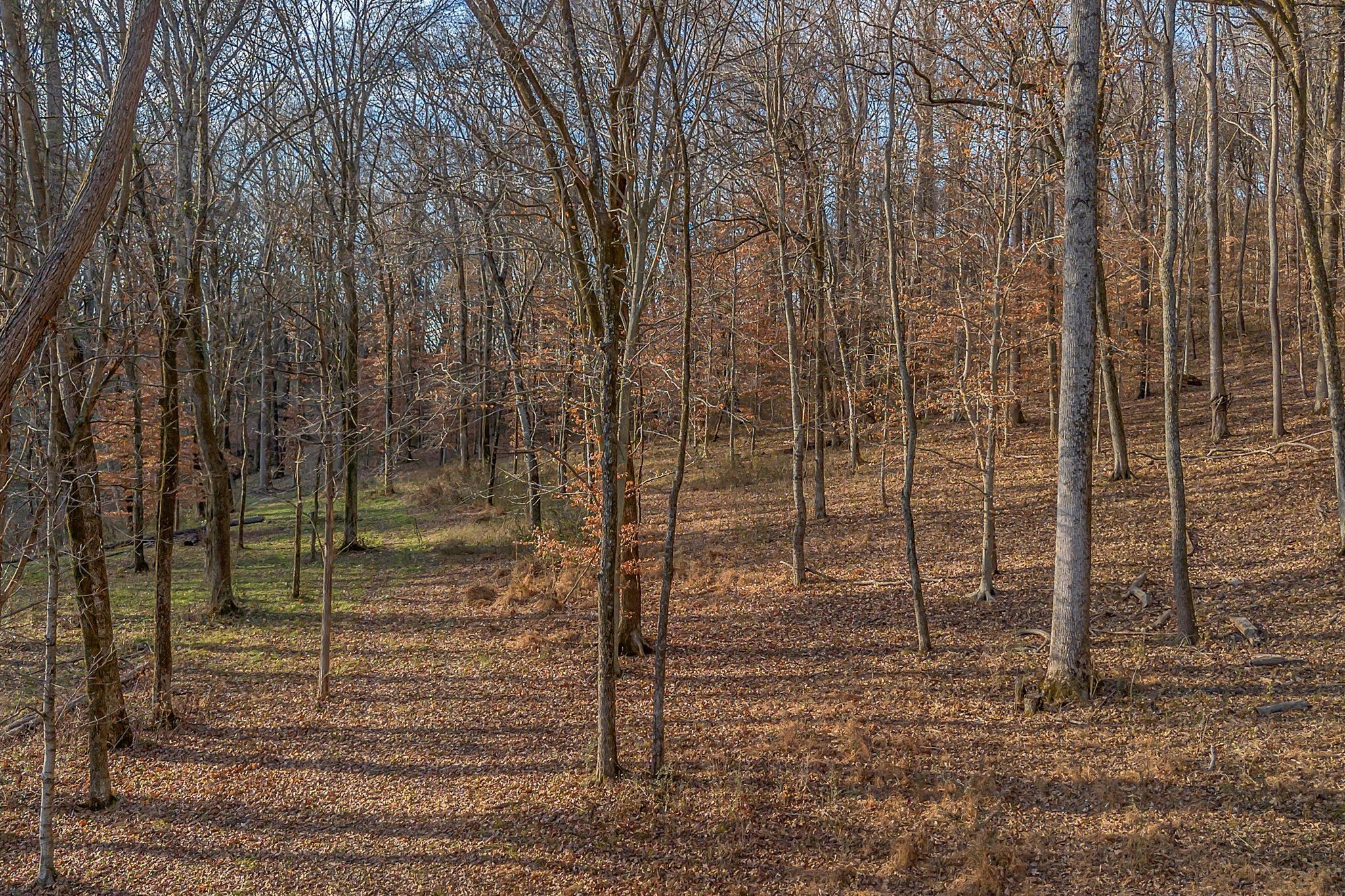 3125 Blazer Road Franklin, TN 37064 - Photo 9 of 32 a view of a pathway