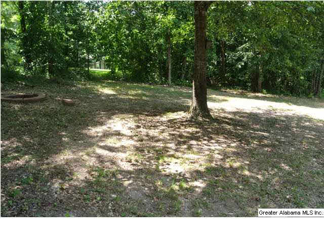 643 Murphrees Valley Road Springville, AL 35146 - Photo 27 of 32