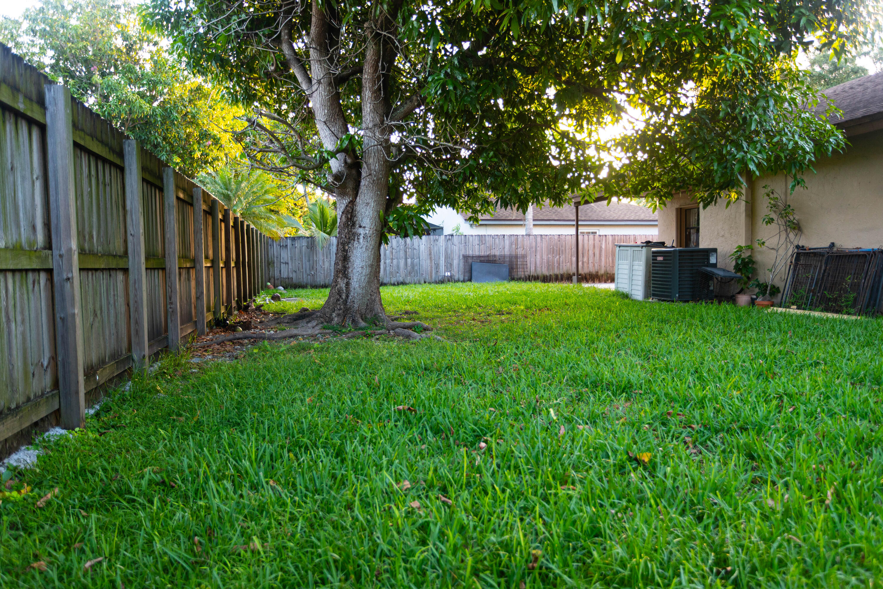 11210 Southwest 157th Street Miami, FL 33157 - Photo 54 of 55 a view of a backyard with large trees and wooden fence
