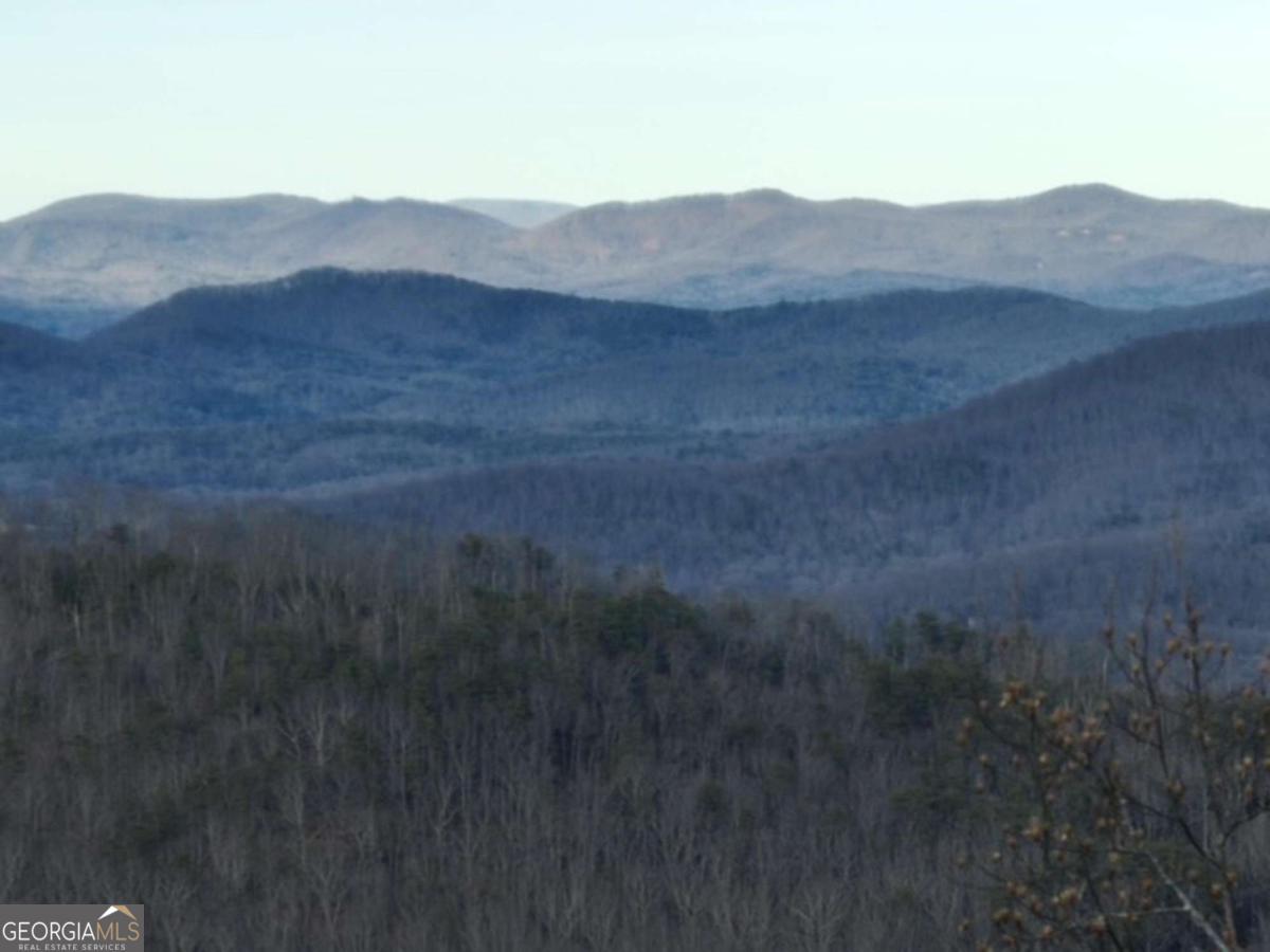 279 Andes Ridge Talking Rock, GA 30175 - Photo 24 of 37
