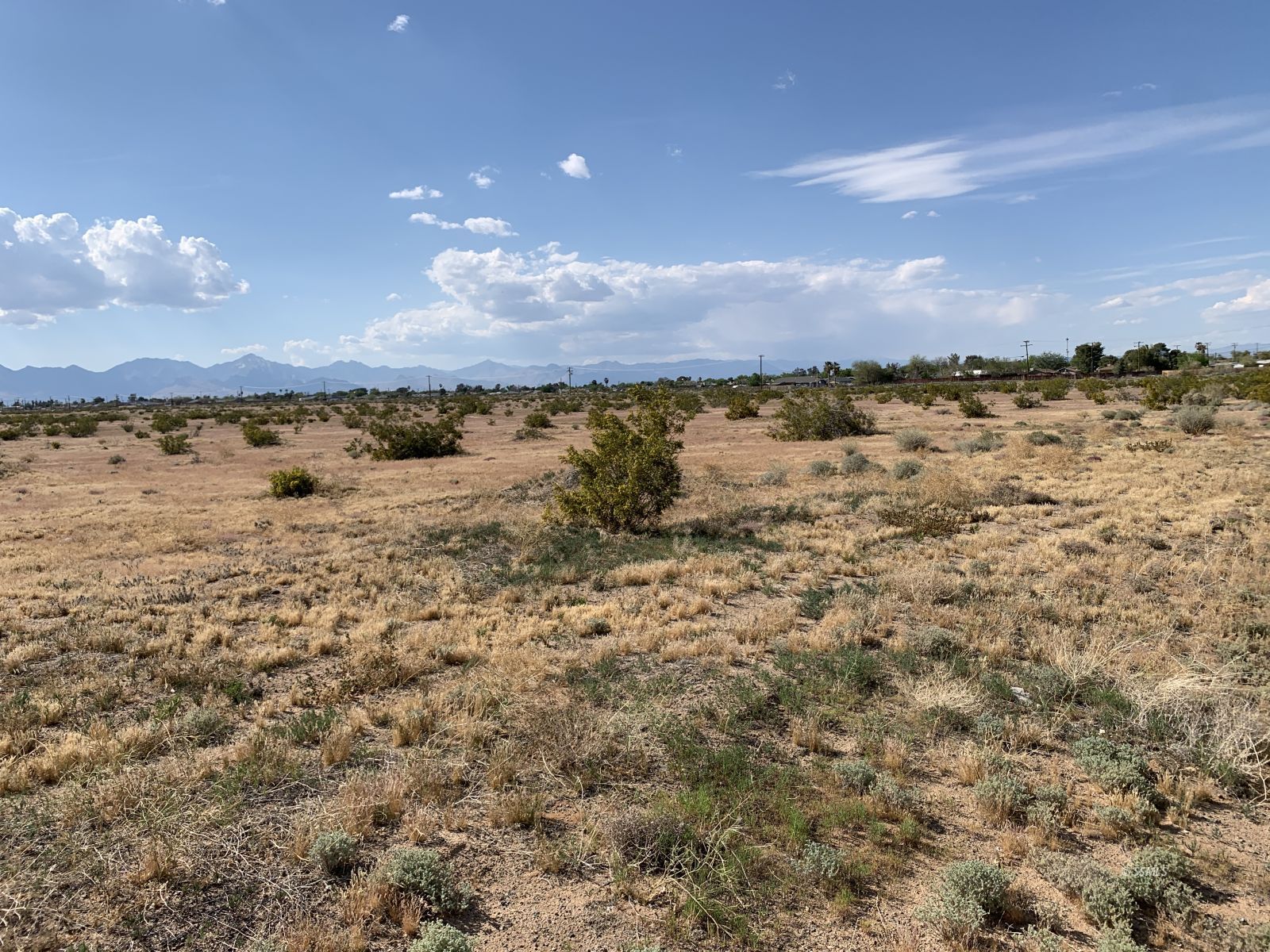 509-090-30 Bowman Road Ridgecrest, CA 93555 - Photo 2 of 7 Gallery Image 2