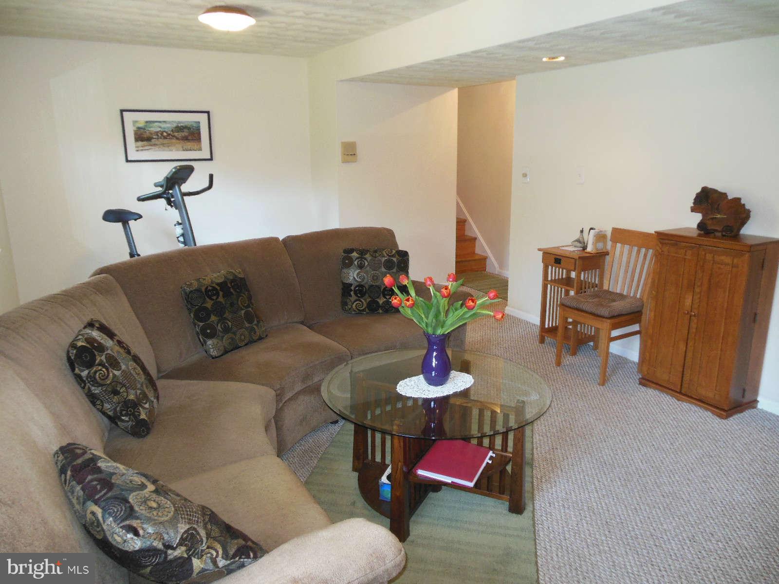 1608 Arbor View Road Silver Spring, MD 20902 - Photo 9 of 28 a living room with furniture and flowers