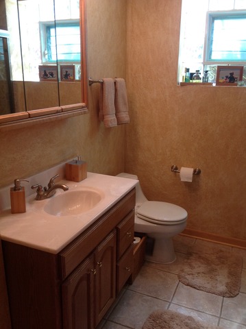612 North Seminary Avenue Park Ridge, IL 60068 - Photo 11 of 13 Gallery Image 11