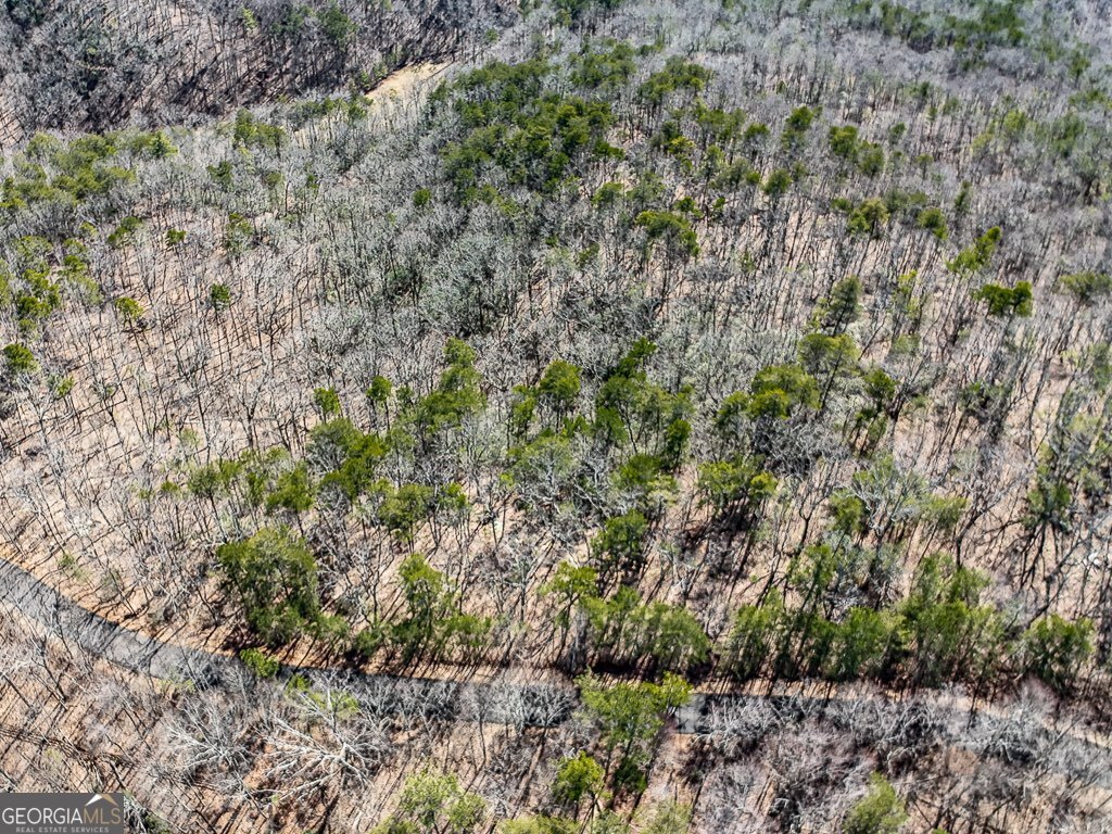 0 Outback Road, Unit 87 Jasper, GA 30143 - Photo 3 of 8