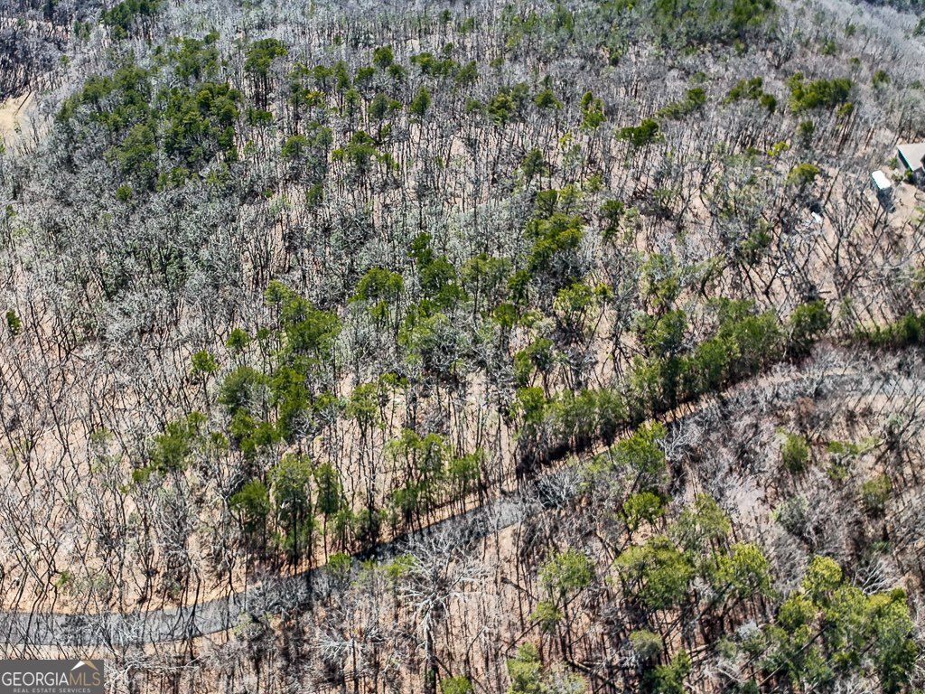 0 Outback Road, Unit 87 Jasper, GA 30143 - Photo 4 of 8