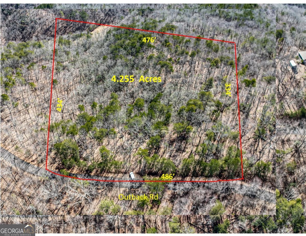 0 Outback Road, Unit 87 Jasper, GA 30143 - Photo 5 of 8