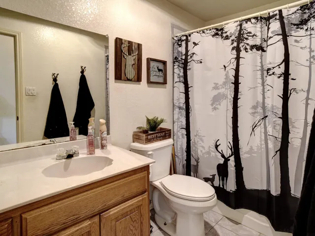 a view of a garden with plants