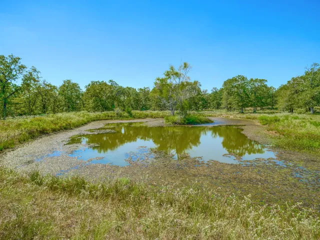 $555,000 | 294 Lois Lane, Paige, TX 78659