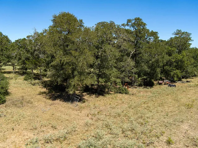 $555,000 | 294 Lois Lane, Paige, TX 78659