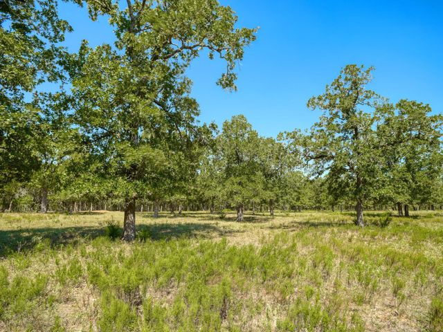 $555,000 | 294 Lois Lane, Paige, TX 78659