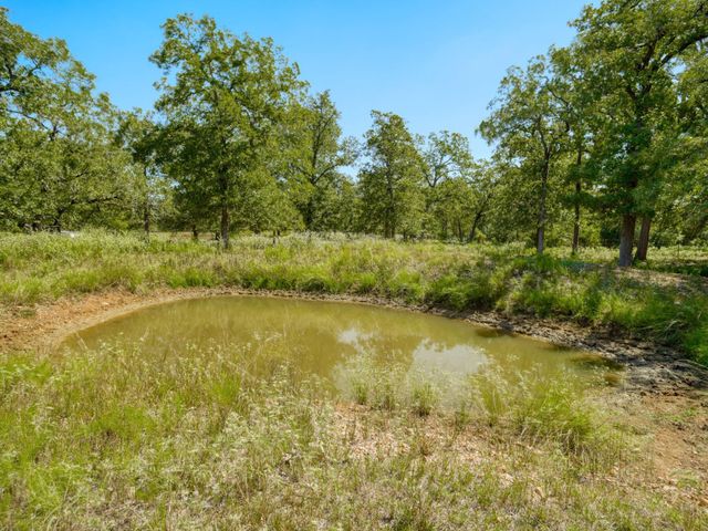 $555,000 | 294 Lois Lane, Paige, TX 78659