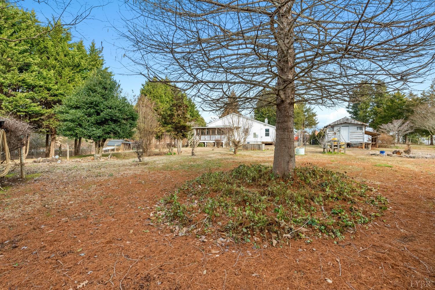 316 Ray Mill Road Gretna, VA 24557 - Photo 44 of 50 a view of yard with tree