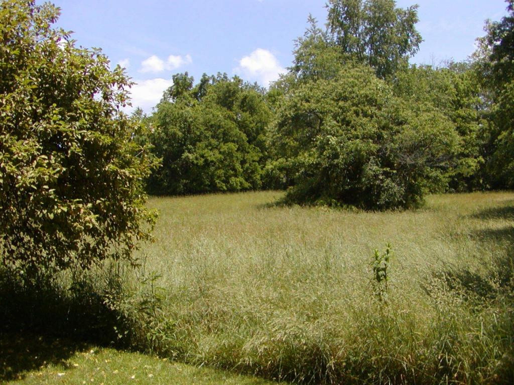 Lot 3 Bacon Branch Road Jonesborough, TN 37659 - Photo 1 of 9 Photo 1