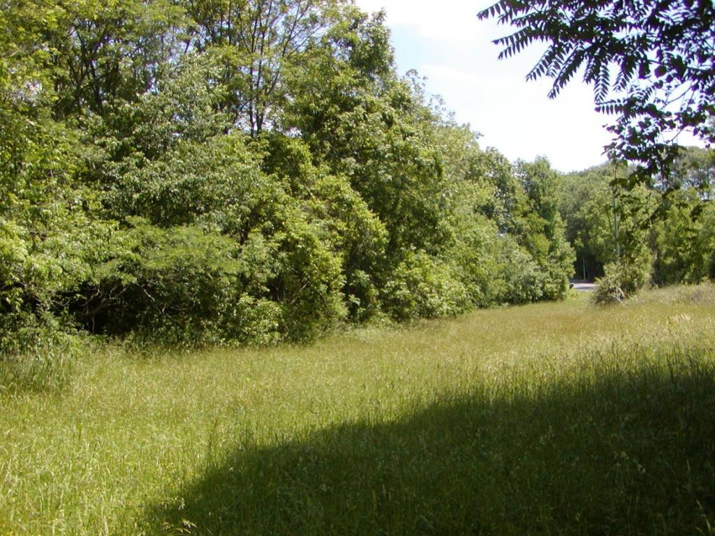 Lot 3 Bacon Branch Road Jonesborough, TN 37659 - Photo 2 of 9 Photo 2