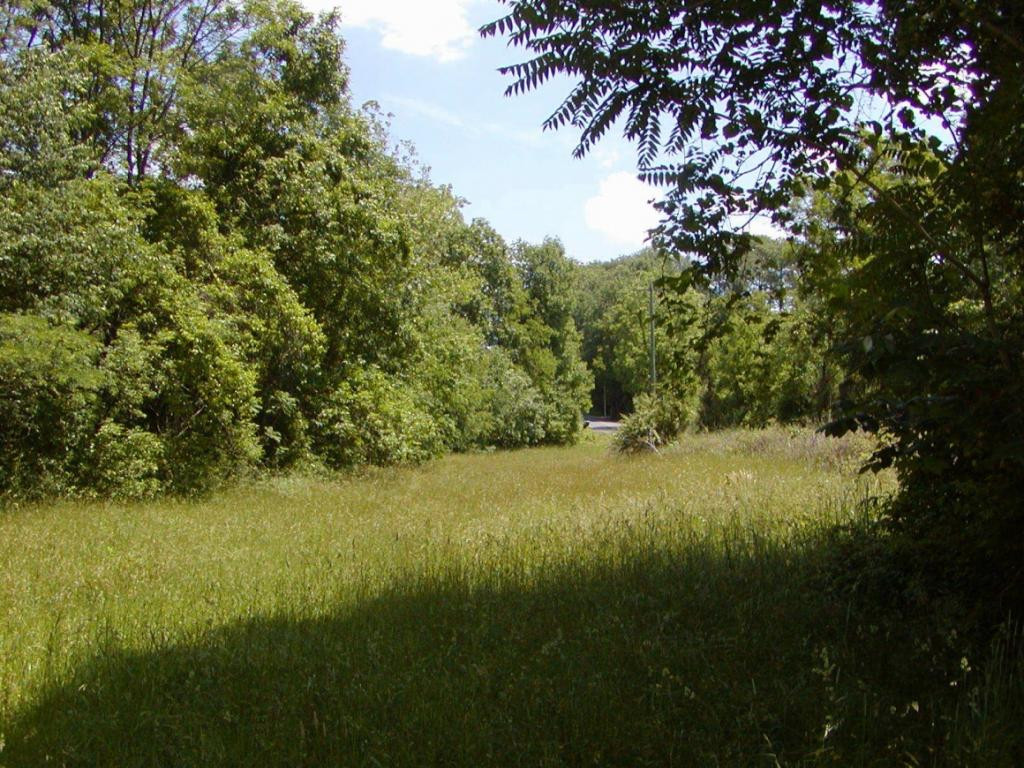 Lot 3 Bacon Branch Road Jonesborough, TN 37659 - Photo 3 of 9 Photo 3