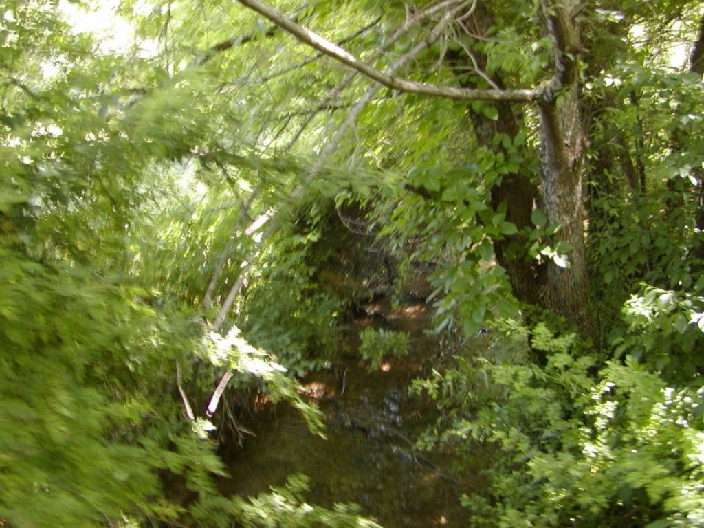 Lot 3 Bacon Branch Road Jonesborough, TN 37659 - Photo 4 of 9 Photo 4