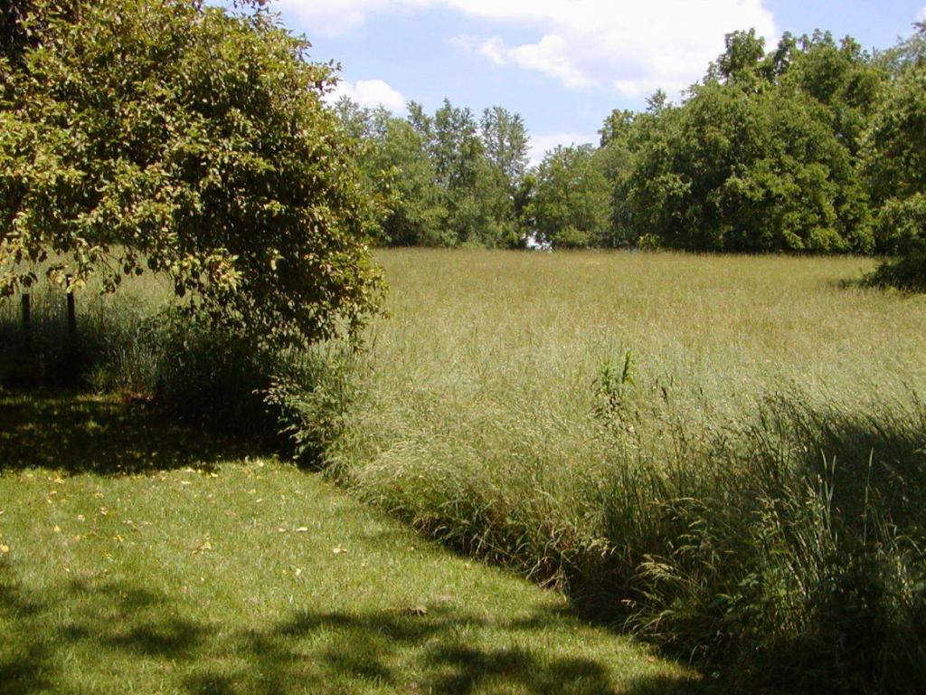 Lot 3 Bacon Branch Road Jonesborough, TN 37659 - Photo 6 of 9 Photo 6