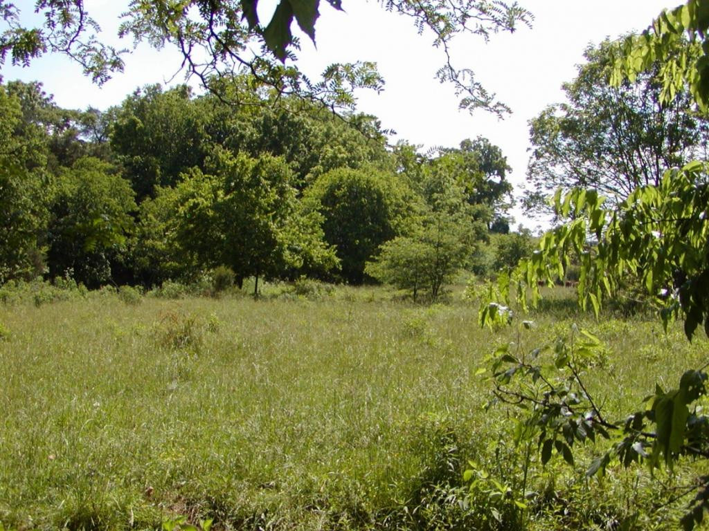 Lot 3 Bacon Branch Road Jonesborough, TN 37659 - Photo 9 of 9 Photo 9