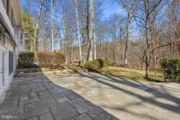 a view of backyard with tree