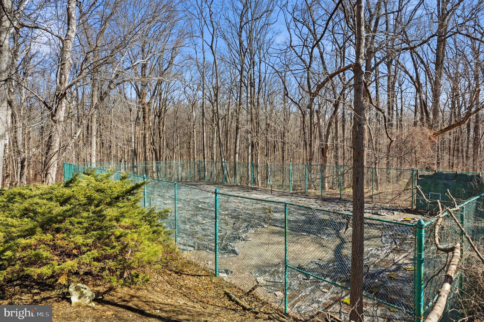 14917 Claude Lane Silver Spring, MD 20905 - Photo 45 of 52 a backyard of a house with lots of green space