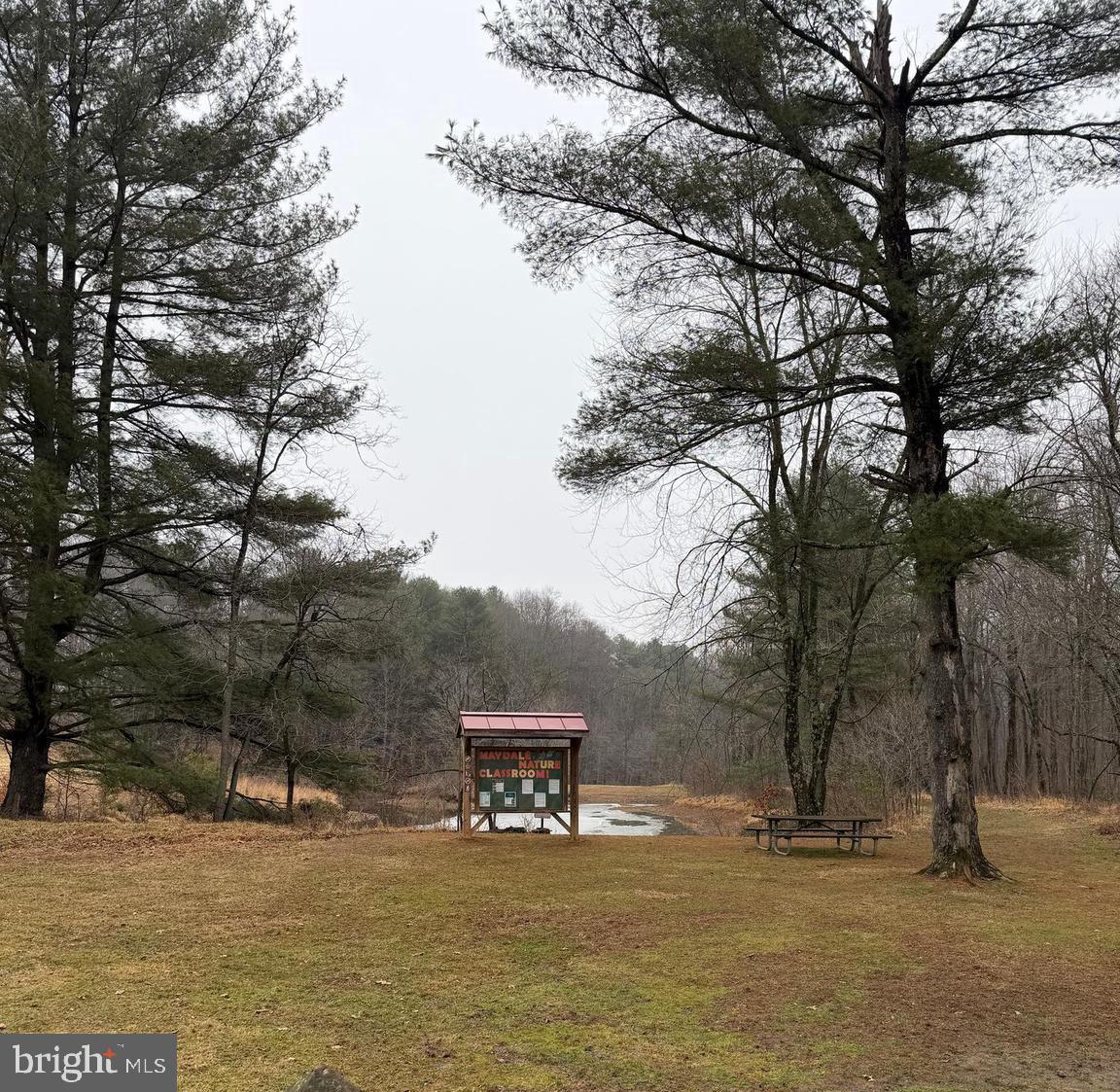 14917 Claude Lane Silver Spring, MD 20905 - Photo 49 of 52 a wooden bench sitting in the middle of a yard