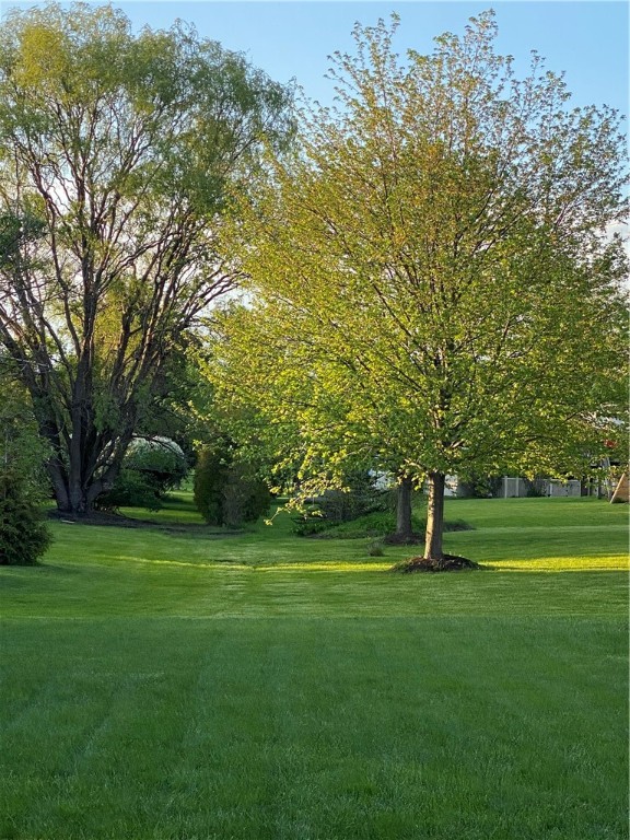 1092 Wickerton Lane Webster, NY 14580 - Photo 38 of 38 Beautiful yard space