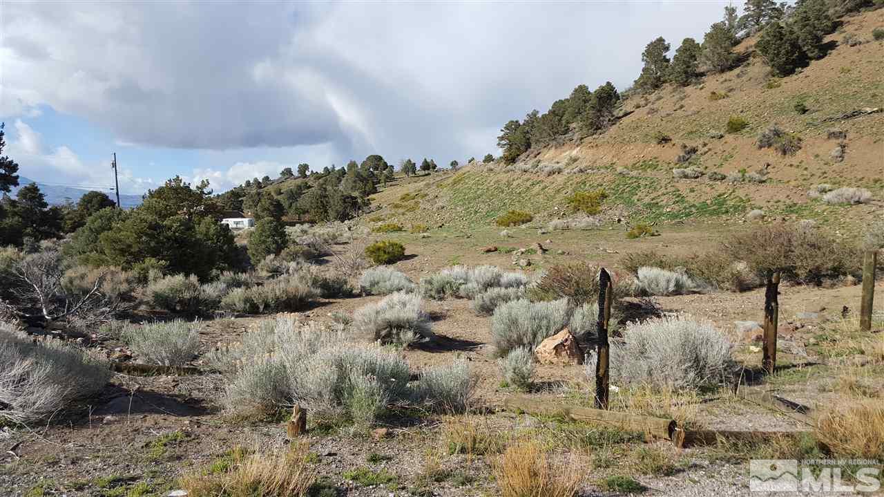 15868 Toll Road Reno, NV 89521 - Photo 3 of 6 a view of a dry field with trees in background